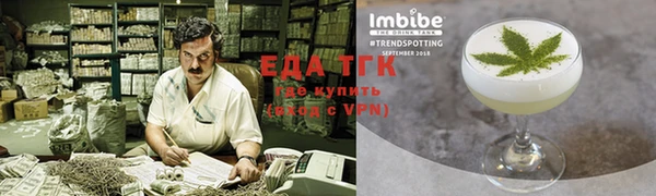 прущие грибы Верхний Тагил