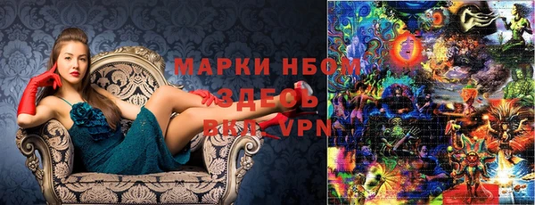прущие грибы Верхний Тагил