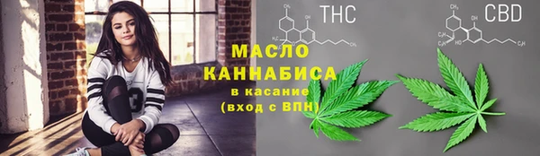 прущие грибы Верхний Тагил