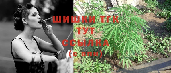 прущие грибы Верхний Тагил