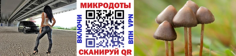 Псилоцибиновые грибы Psilocybine cubensis Дигора
