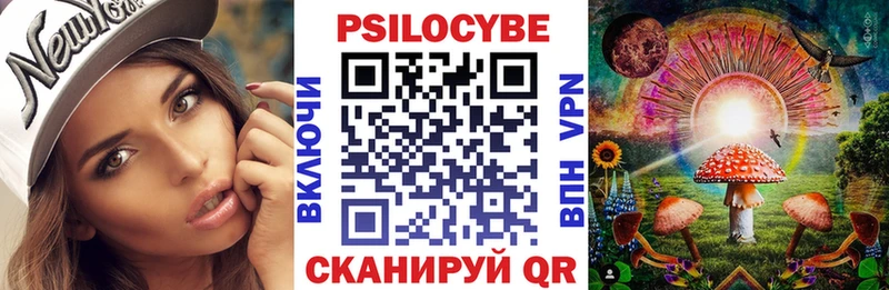 Псилоцибиновые грибы Psilocybe  Дигора 